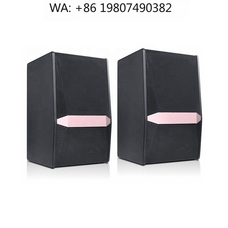 Woofer - 800Wピーク出力、10インチウーファー搭載のプロ仕様サウンドアンプ、教会用オーディオスピーカーシステム