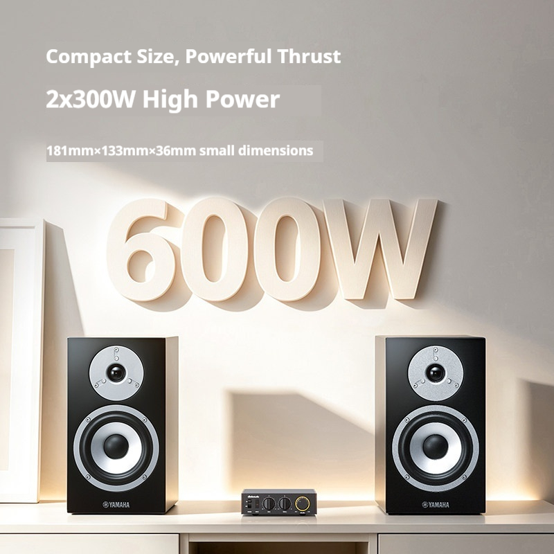 FiiO LEVEL1 アンプ高品位オーディオパワー Blu - Sbc Audio Amplifier のレビューと価格